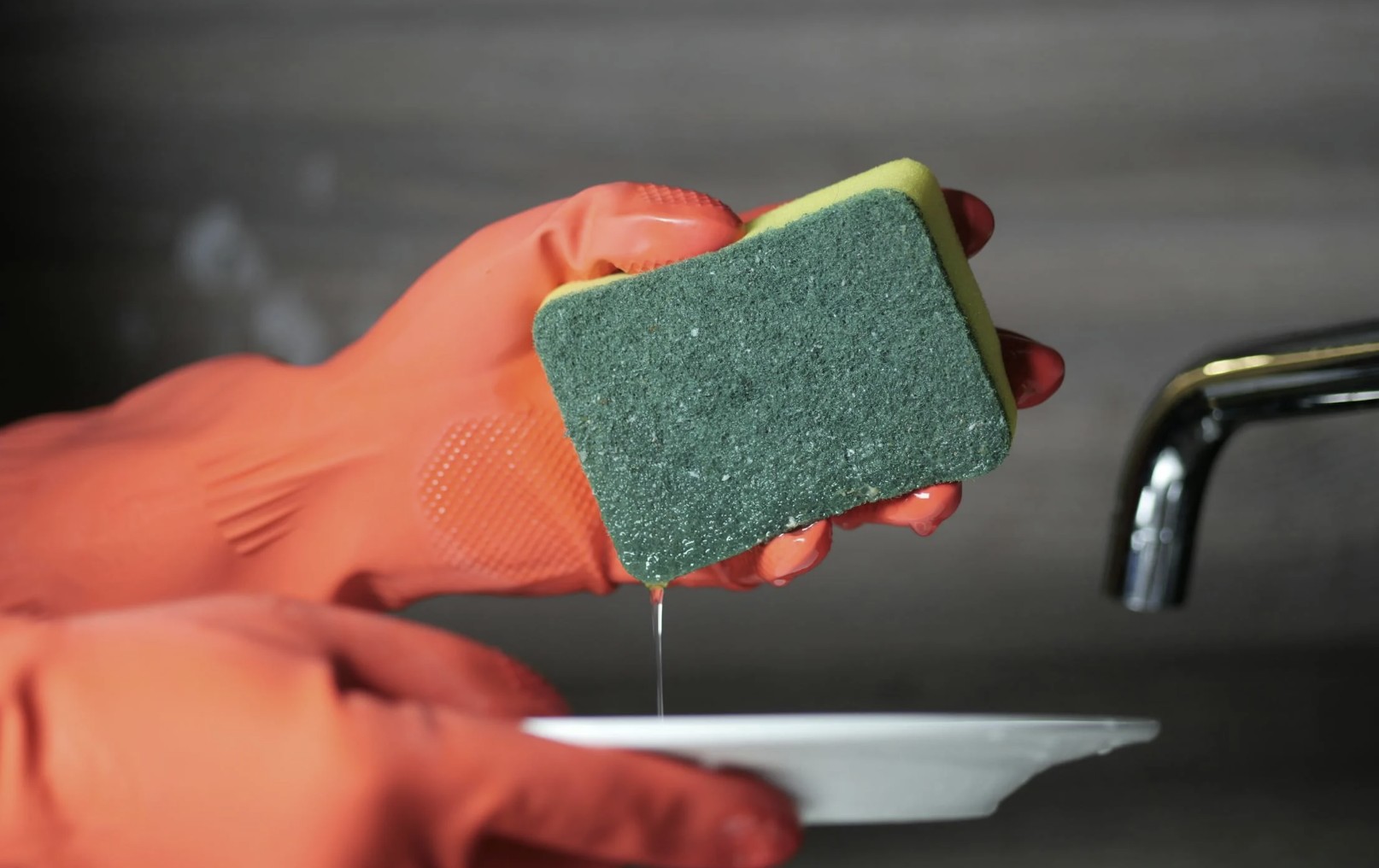 a kitchen sponge