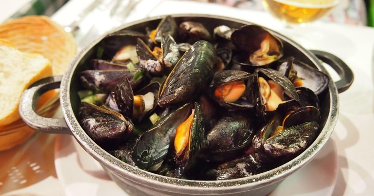 The Real Reason Mussel Colors Differ