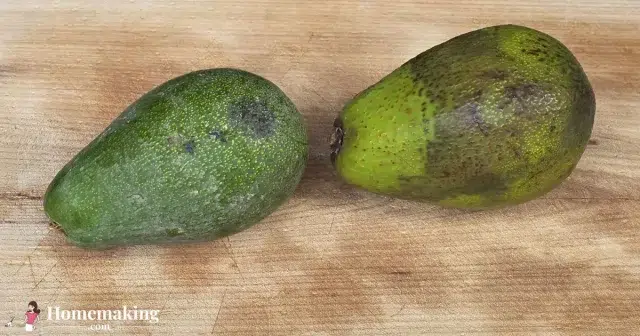 avocado