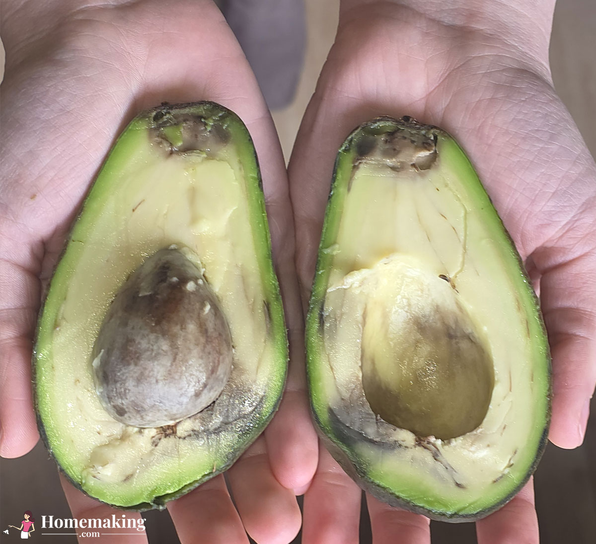 holding avocadoes