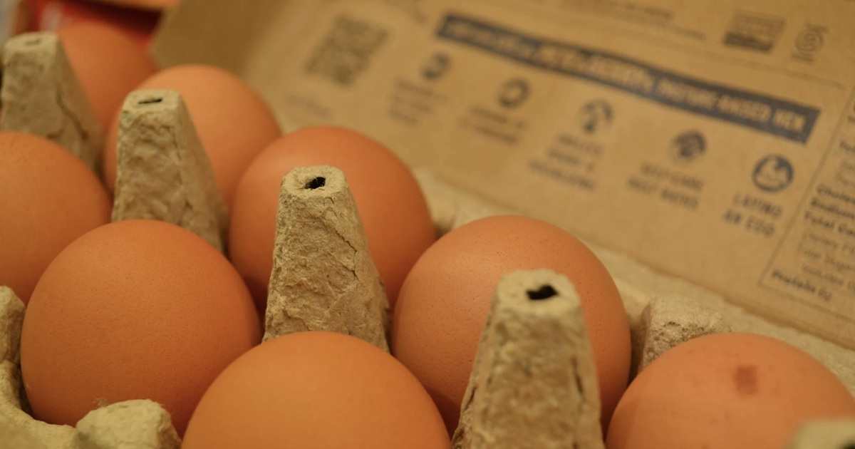 Here’s What Those Bumps On Eggs Really Mean