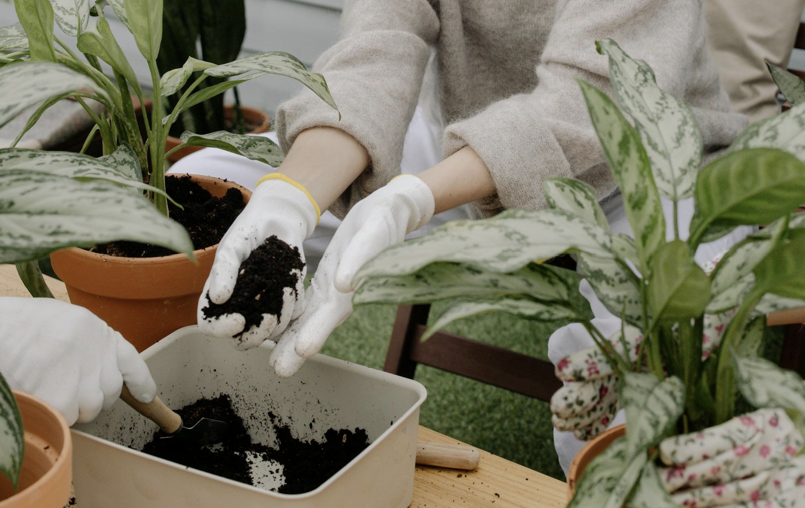 gardening