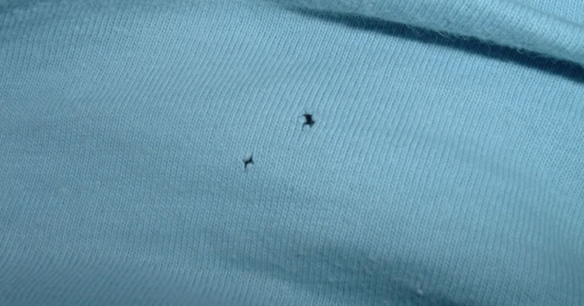What’s Making Holes in Your Clothes? Causes and Easy Ways I Prevent Them