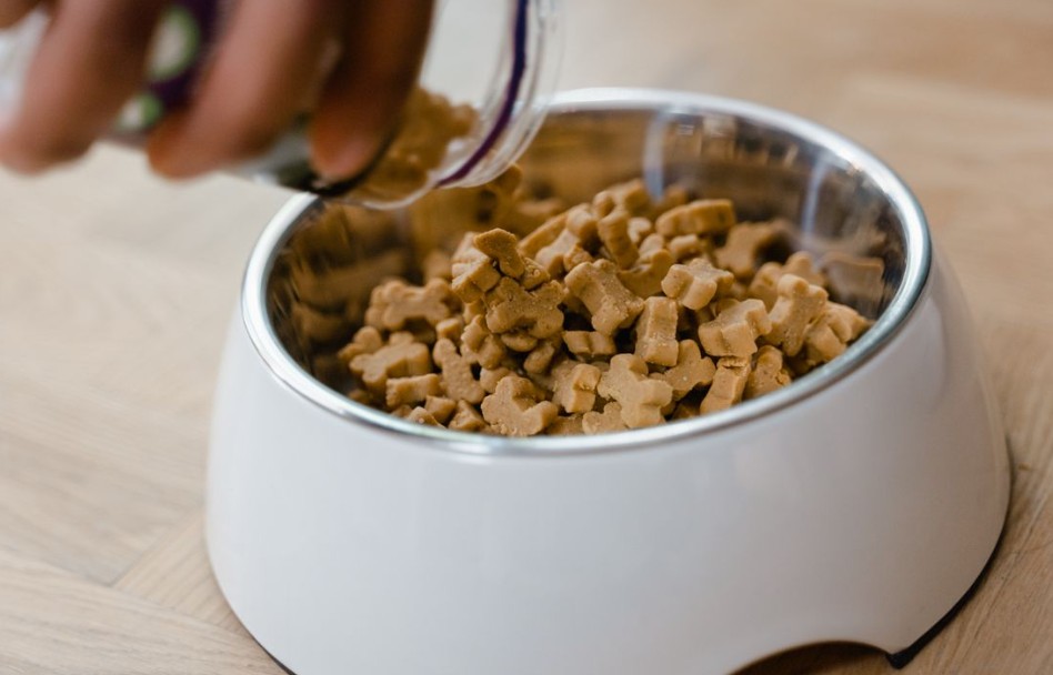 pet food
