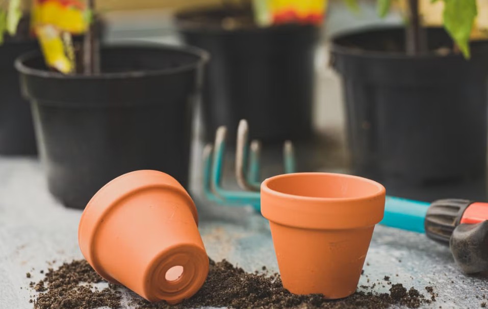 pots