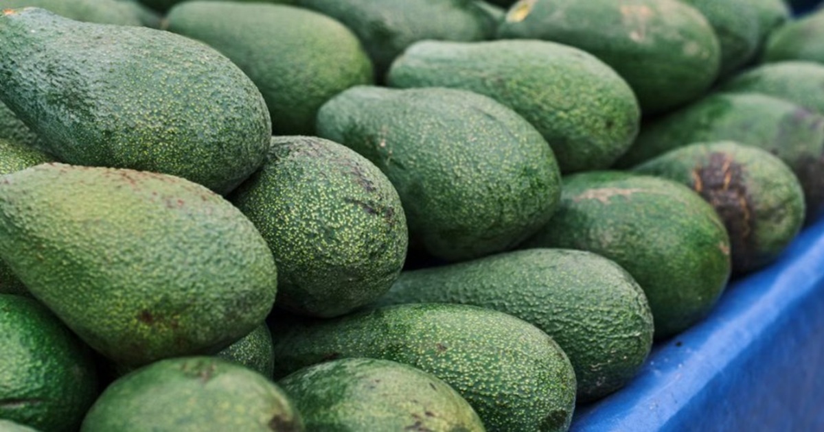 How to Store Avocados with Onion So They Stay Green