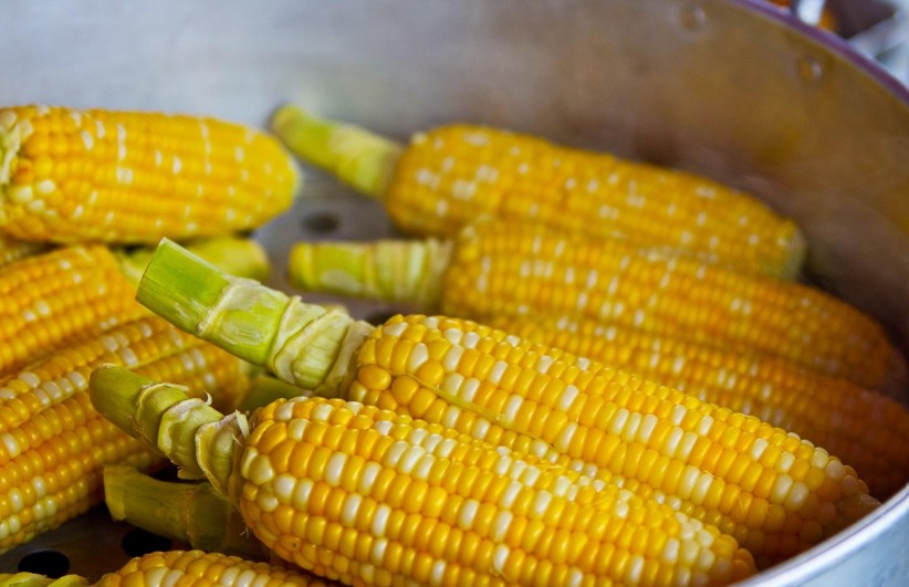 corn