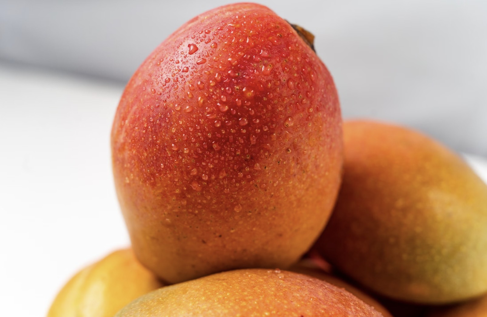 mango fruit