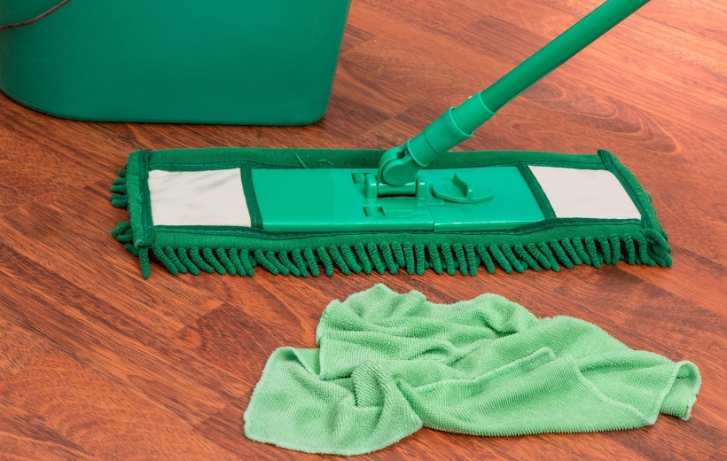 mop bucket chores