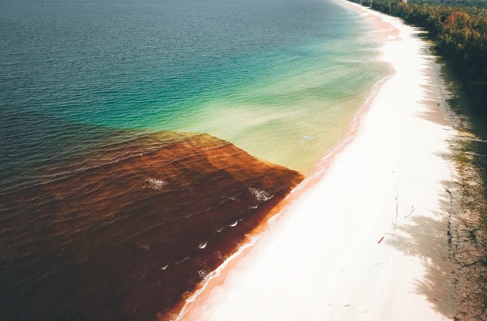 algal bloom