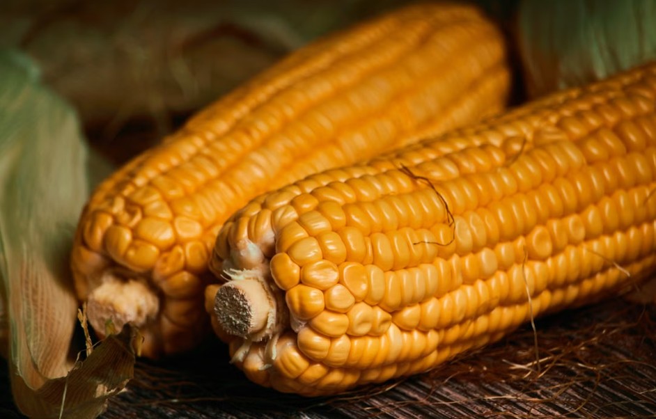 corn