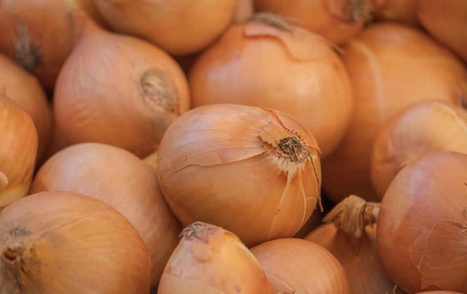 fresh brown onions