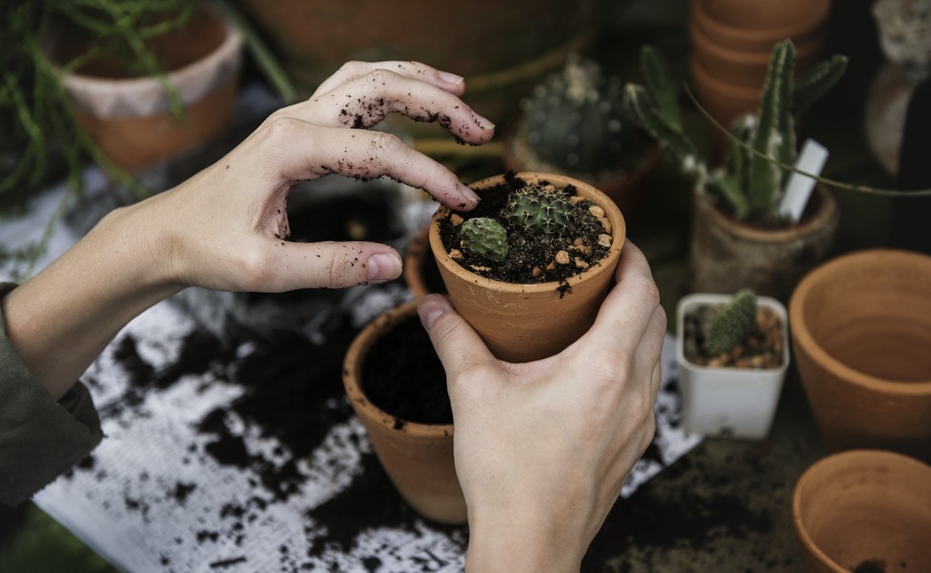 gardening