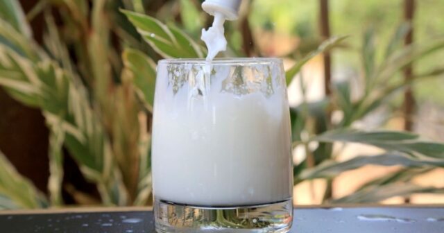 Milk