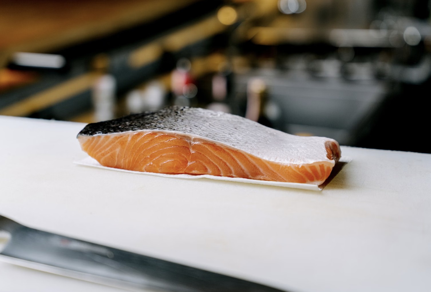 salmon