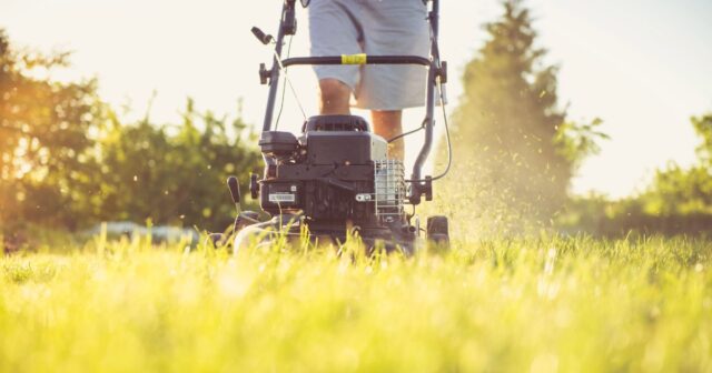 lawn care