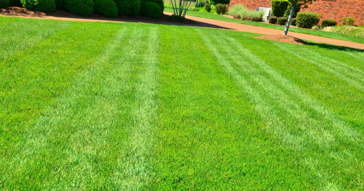 landscaping