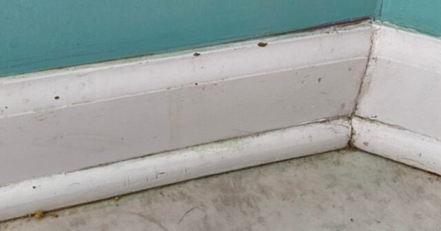 dirty baseboards