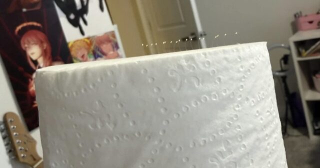 toilet paper