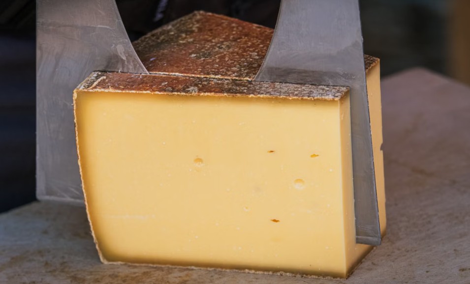 cheese