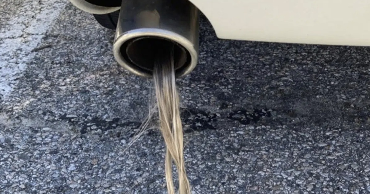muffler hair